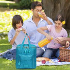 TV10 Tiffin Bag - Turquoise Green